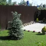 Газон у входа на дачу