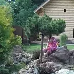 Ландшафтный дизайн