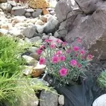 Ландшафтный дизайн