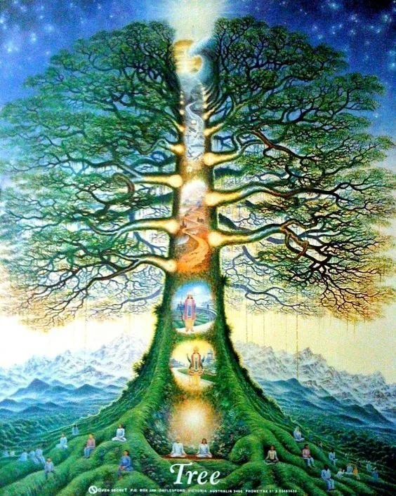 Дерево путь чакр